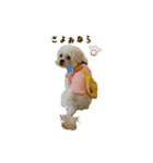 福乙女（個別スタンプ：12）