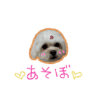 福千代と乙女フェイス（個別スタンプ：5）
