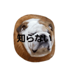 JIN KUN（個別スタンプ：8）