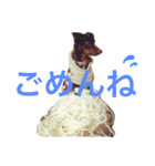coco.sora.stamp（個別スタンプ：5）