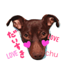 coco.sora.stamp（個別スタンプ：13）