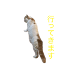 コジパン（個別スタンプ：2）