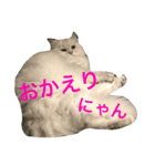 コジパン（個別スタンプ：15）