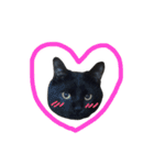 黒猫のひじき（個別スタンプ：1）
