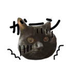 黒猫のひじき（個別スタンプ：3）