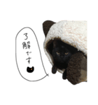 黒猫のひじき（個別スタンプ：14）