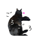 黒猫のひじき（個別スタンプ：16）