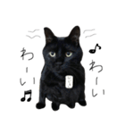 黒猫のひじき（個別スタンプ：24）