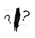黒猫のひじき（個別スタンプ：31）