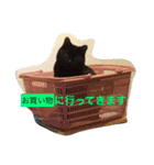 黒猫のひじき（個別スタンプ：32）