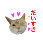 ペコの日常（個別スタンプ：13）