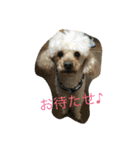 まーち（個別スタンプ：1）
