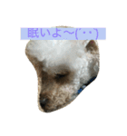 まーち（個別スタンプ：2）