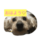 まーち（個別スタンプ：3）