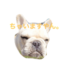 フレブル mahalo（個別スタンプ：6）