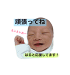 はるとくんの日常スタンプ（個別スタンプ：13）