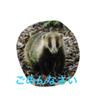 日本の生き物（個別スタンプ：5）