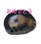 日本の生き物（個別スタンプ：6）
