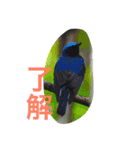 日本の生き物（個別スタンプ：16）