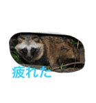 日本の生き物（個別スタンプ：20）