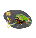 日本の生き物（個別スタンプ：31）