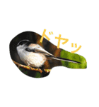 日本の生き物（個別スタンプ：37）