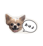 未来ちゃん（個別スタンプ：1）