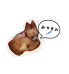未来ちゃん（個別スタンプ：2）