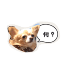 未来ちゃん（個別スタンプ：3）