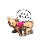 未来ちゃん（個別スタンプ：4）