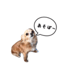 未来ちゃん（個別スタンプ：5）