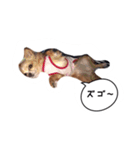 未来ちゃん（個別スタンプ：6）