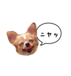 未来ちゃん（個別スタンプ：9）
