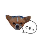 未来ちゃん（個別スタンプ：10）
