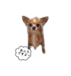 未来ちゃん（個別スタンプ：13）