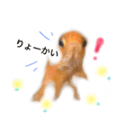 金魚のキンたん Part2（個別スタンプ：5）