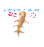 金魚のキンたん Part2（個別スタンプ：11）