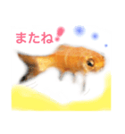 金魚のキンたん Part2（個別スタンプ：12）