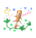 金魚のキンたん Part2（個別スタンプ：14）