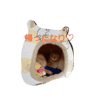 チョコ＆クッキー（個別スタンプ：7）