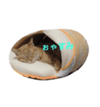 チョコ＆クッキー（個別スタンプ：9）