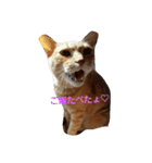 チョコ＆クッキー（個別スタンプ：10）