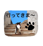 choco＆oreo（個別スタンプ：2）