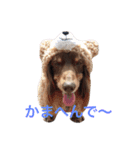 choco＆oreo（個別スタンプ：4）