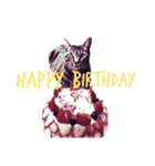 my cats ！！（個別スタンプ：6）