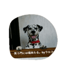areralu（個別スタンプ：1）