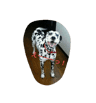 areralu（個別スタンプ：2）