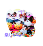 aru1（個別スタンプ：14）
