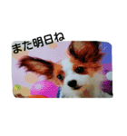 aru1（個別スタンプ：16）