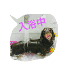 コアとツヨシ（個別スタンプ：1）